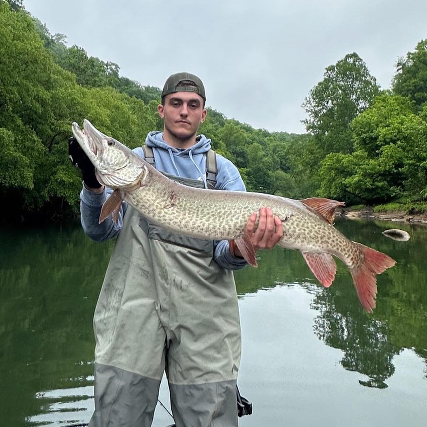 Elk River musky fishing in West Virginia – Brayden Rollyson holding a trophy musky at Corton Lodge