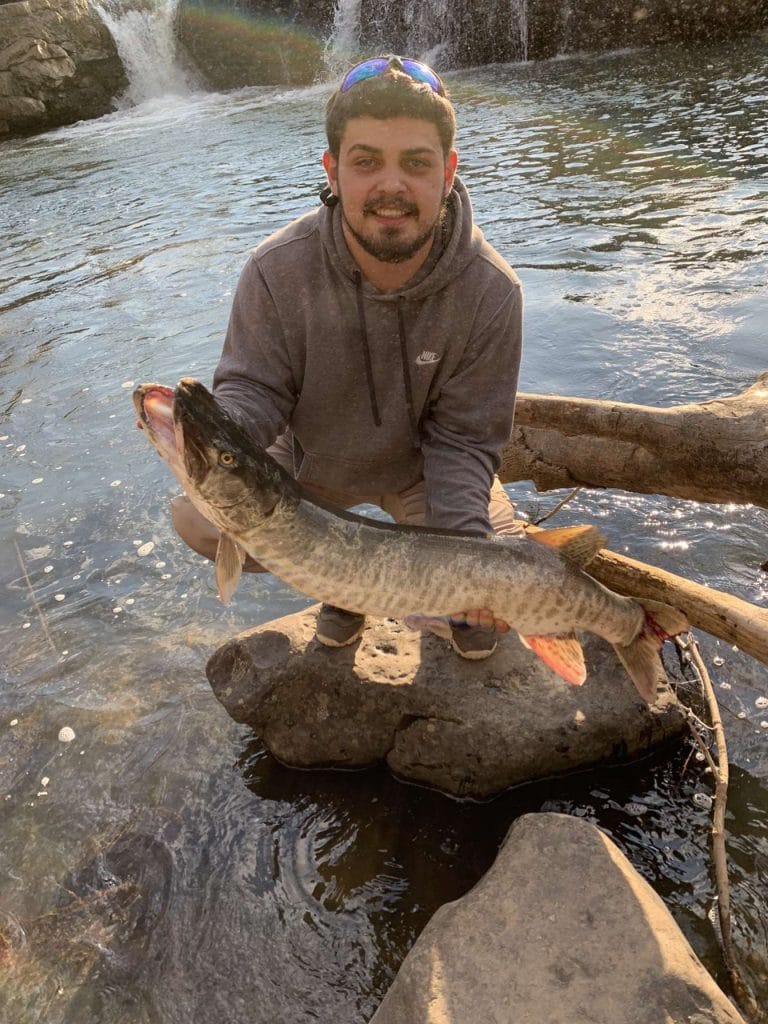 Colten Rollyson holding a walleye caught on the Elk River WV near Corton Lodge